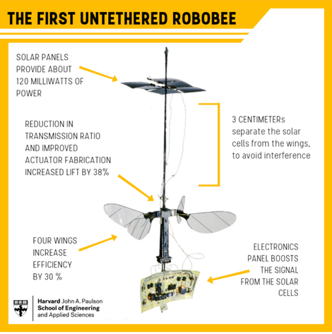 Illustration for article titled We're Going to Mistake the Drones of the Future for Annoying Flying Insects
